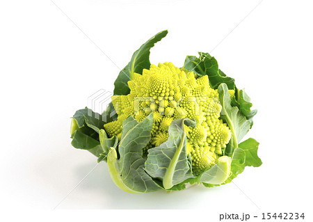ロマネスコ 15442234