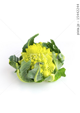 ロマネスコ 15442244