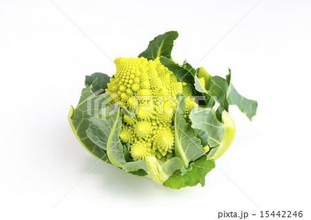 ロマネスコ 15442246