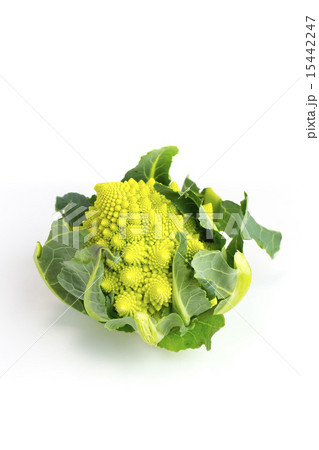 ロマネスコ 15442247