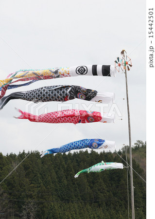空を泳ぐこいのぼり 空を泳ぐこいのぼり 15442501