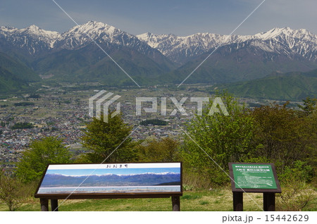 信州　大町近郊　鷹狩山からの北アルプス展望 15442629