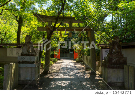 新緑の車折神社 15442771