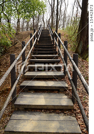 階段 階段 15442873