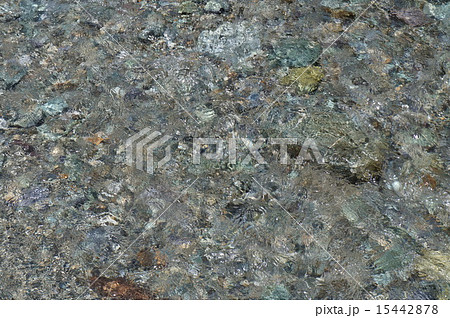 安居川のせせらぎ 15442878