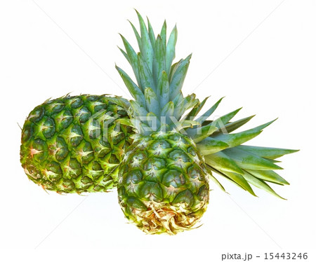 pineapple pineapple 15443246