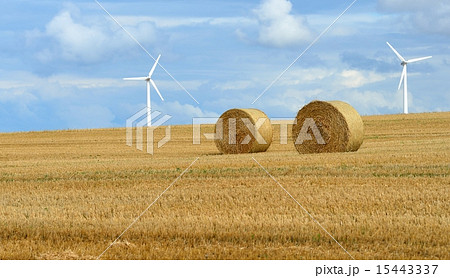 straw roll 15443337