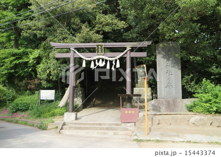 坂戸神社の森(千葉県袖ケ浦市) 坂戸神社の森(千葉県袖ケ浦市) 15443374