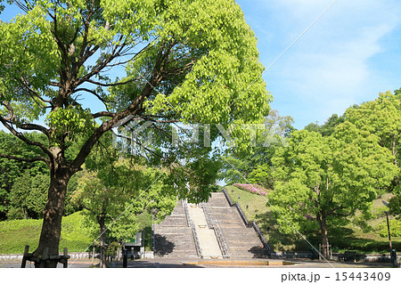 アカデミア公園（千葉県木更津市） 15443409