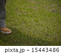 足元に芝 15443486
