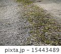 砂利道 15443489