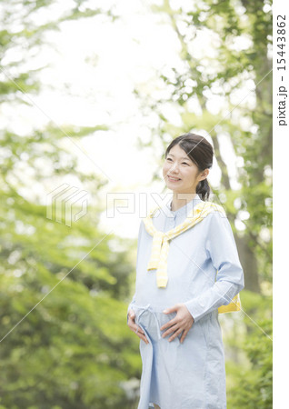 妊婦 新緑 妊婦 新緑 15443862