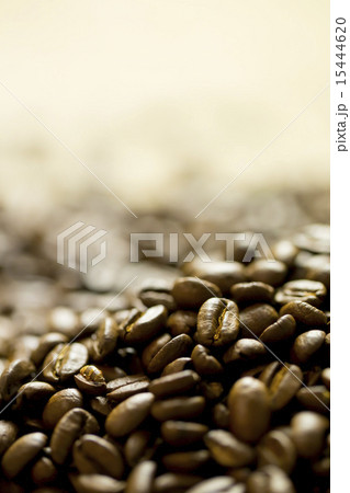コーヒー豆 15444620