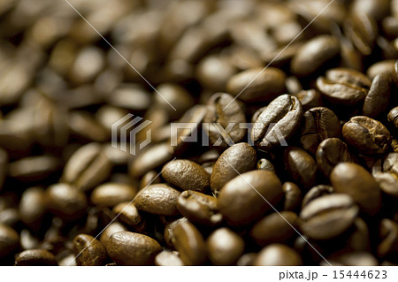 コーヒー豆 15444623