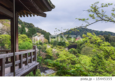 京都　清水寺 15445355
