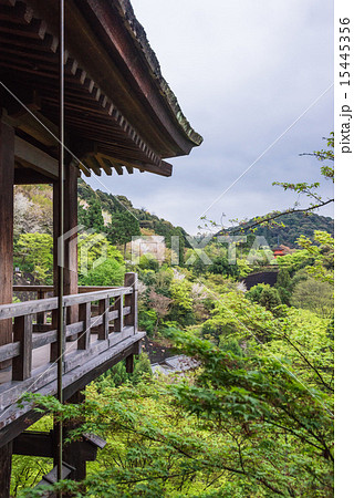 京都　清水寺 15445356