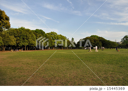 岸根公園 15445369