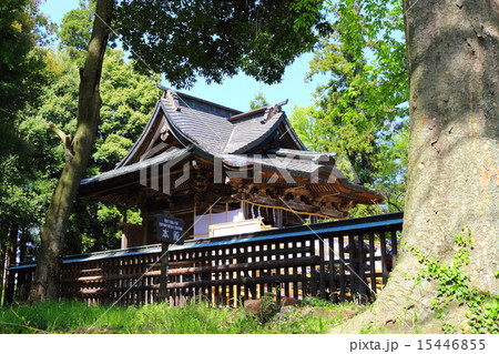春の梁川八幡宮　本殿 15446855