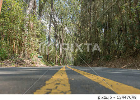 オールドロード オールドロード 15447048