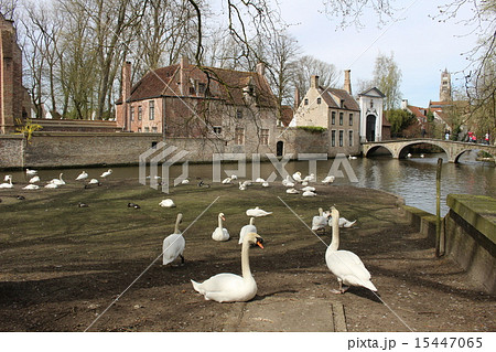 世界遺産ベギン会修道院の愛の湖 ベルギー 世界遺産ベギン会修道院の愛の湖 ベルギー 15447065