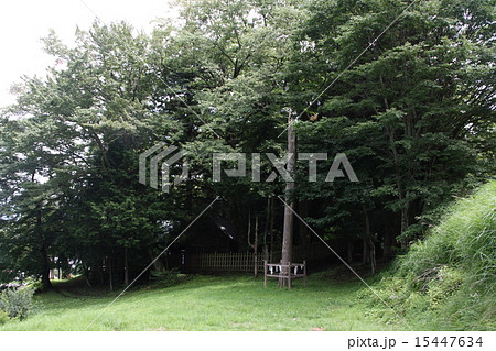 諏訪大社 前宮 諏訪大社 前宮 15447634