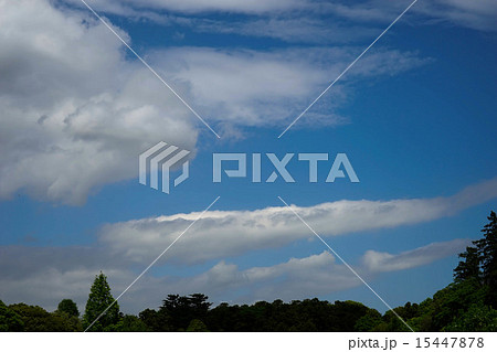 空 空 15447878