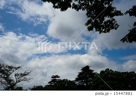 空 空 15447881