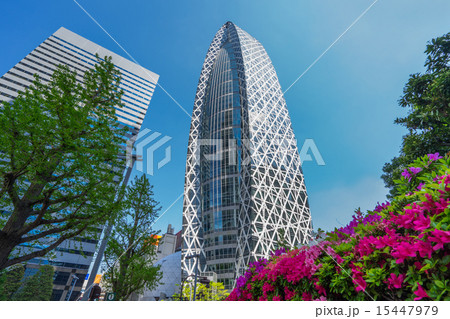 コクーンタワー コクーンタワー 15447979