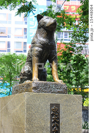 忠犬ハチ公像 15448064