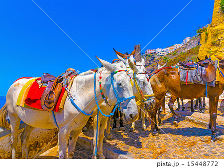 in Santorini island in Greece in Santorini island in Greece 15448772