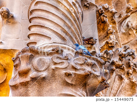 Sagrada Familia in Barcelona Spain 15449075