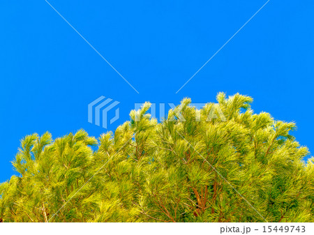 in Peleta village in southern Greece 15449743