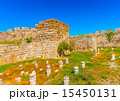in Kos island in Greece 15450131