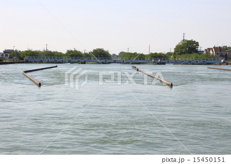 武蔵水路 武蔵水路 15450151