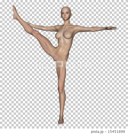 筋肉標本合成用スキン　フルヌード　ポーズする女性　perming 3DCG　イラスト素材 15451899