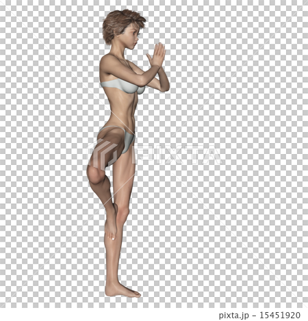 合成肌肉標本的皮膚瑜伽擺在與頭髮swimsessing婦女燙髮3DCG例證材料 合成肌肉標本的皮膚瑜伽擺在與頭髮swimsessing婦女燙髮3DCG例證材料 15451920