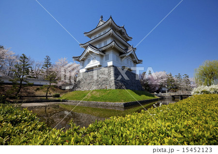 桜8 15452123