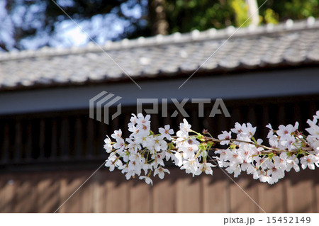 根岸家長屋門8 根岸家長屋門8 15452149