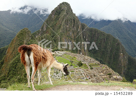 マチュピチュ 15452289
