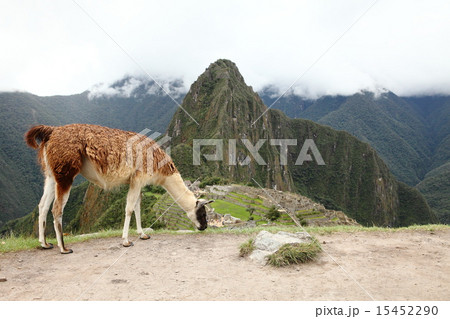 マチュピチュ 15452290