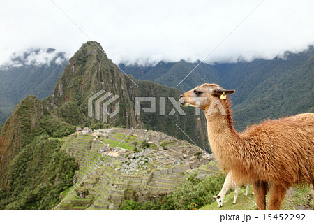 マチュピチュ マチュピチュ 15452292