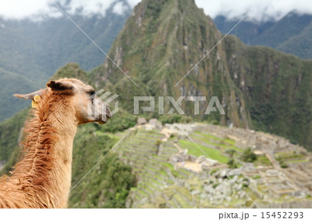 マチュピチュ 15452293