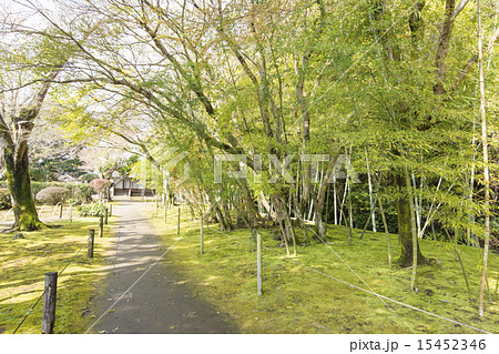 飫肥城下町 飫肥城下町 15452346
