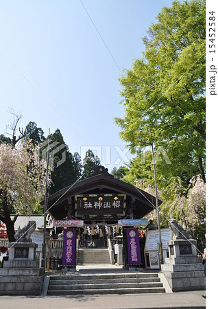 盛岡 桜山神社の写真素材