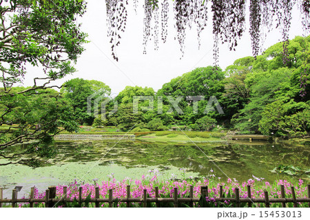 江戸城二の丸庭園 15453013