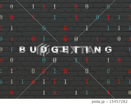 Finance concept: Budgeting on wall background Finance concept: Budgeting on wall background 15457262