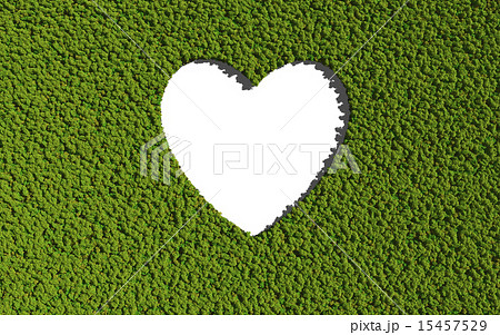 empty heart create by tree with white background 15457529