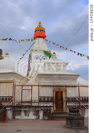 ネパール　パタン　アショーカストゥーパ 15458639
