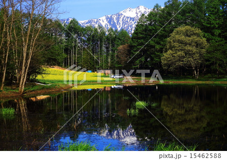 春の池 春の池 15462588