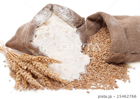 Flour and wheat grain Flour and wheat grain 15462766